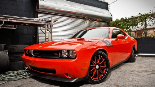 Dodge Challenger WP