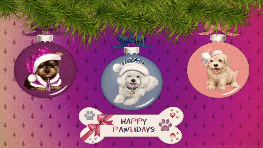 Dog Xmas Wp 01