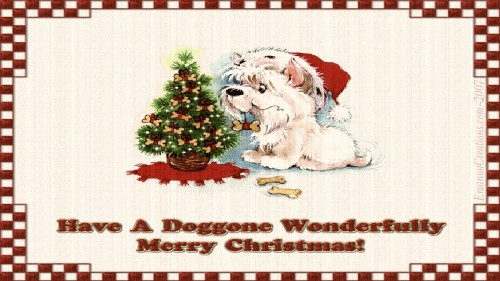 Doggie Xmas Wp