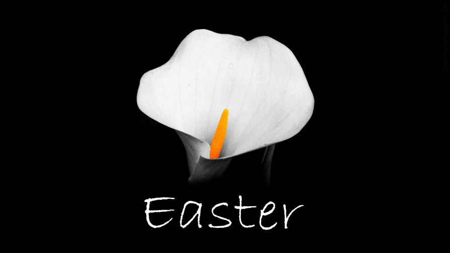 Easter Flower Wp 01