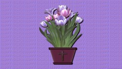 Easter Flower Wp 02