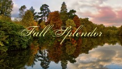 Fall Splendor Wp 01