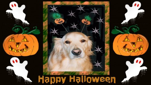 Golden Halloween Wp 01