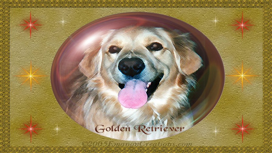 Golden Retriever Orb Wp