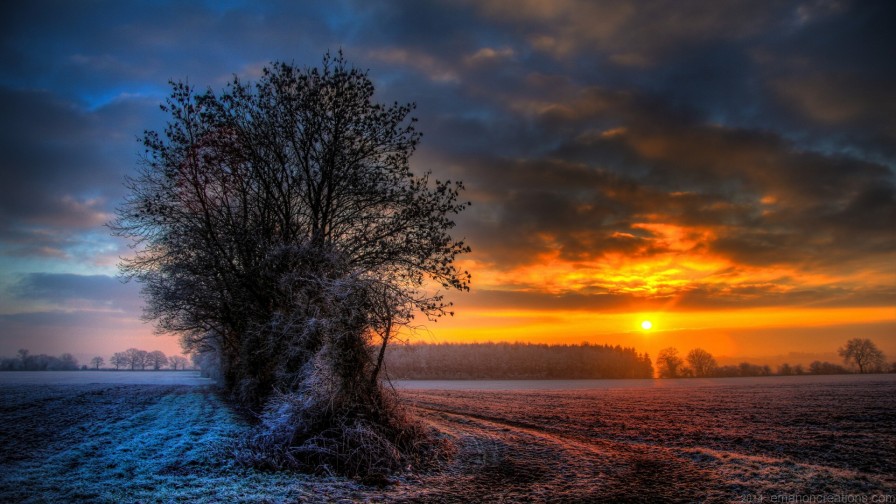 Landscape Nature Wp 007