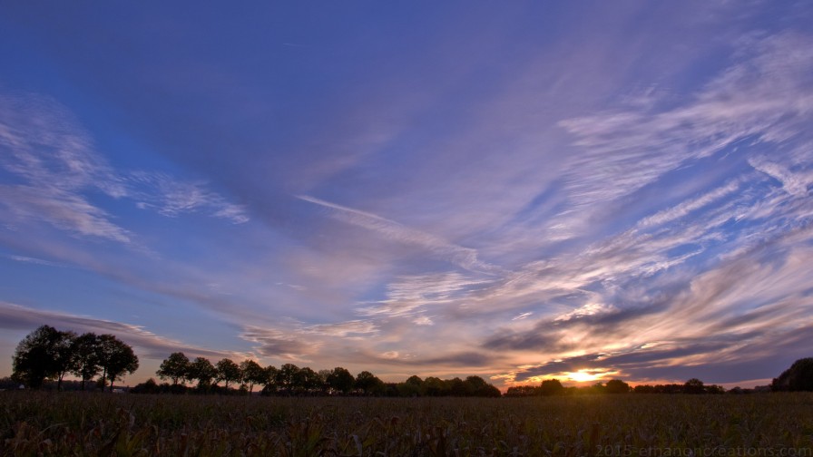 Landscape Nature Wp 014