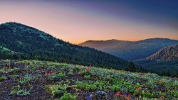 Landscape Nature Wp 106