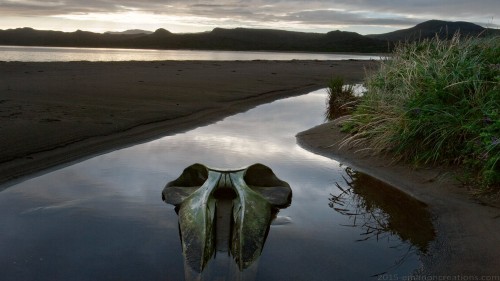 Landscape Water Wp 061