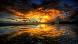 Landscape Water Wp 100