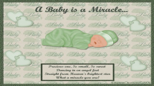 Miraclebaby Wp