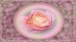 Pinkroseorb Wp