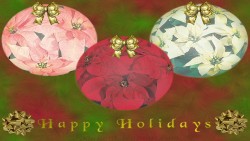 Poinsettia Orb Wp