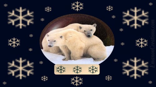 Polarbears Wp