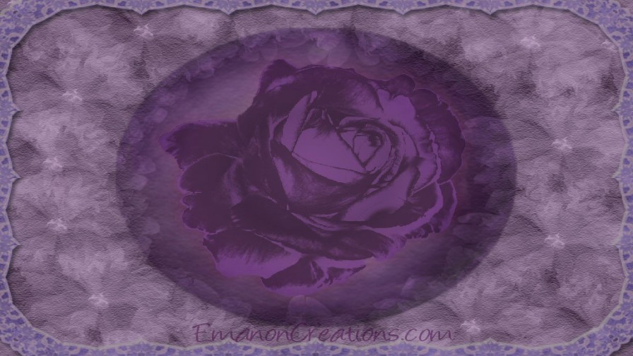 Purplerose Wp