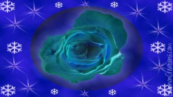 Roseorb04 Wp