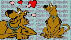 Scooby Wp