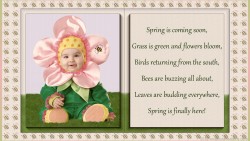 Spring Cutie 02 Hd Wp