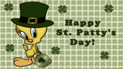 St Pats Tweety Wp 01