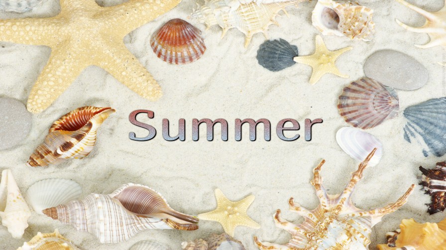 Summer Shells Wp 02