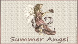 Summerangel Wp