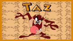 Taz Wp