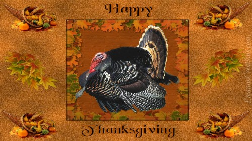Thanksgiving Turkey Wp
