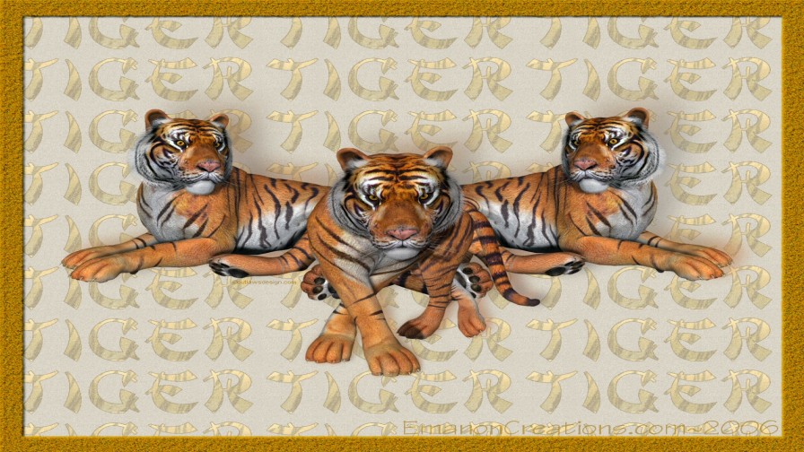 Tigertrio Wp