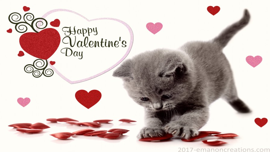 Valentine Kittie 01