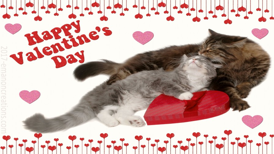 Valentine Kittie 02