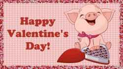 Valentines Pig Hd Wp