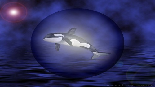 Whale Orb Wp