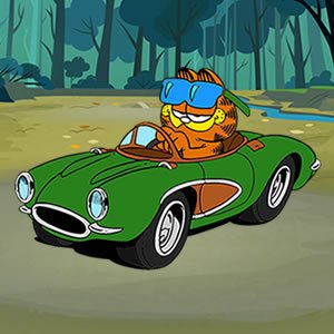 Garfield Hidden Car Tires