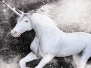 White Unicorn-Hidden Stars